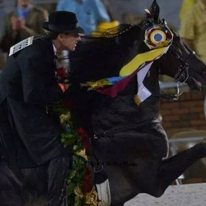 Meet your Posher, Jordan